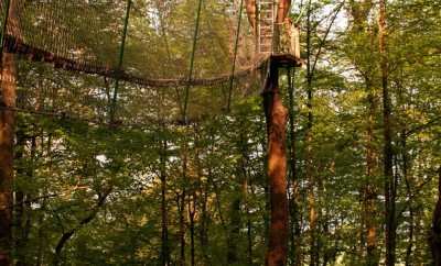 Cabane La Canopée – Le Chêne Perché