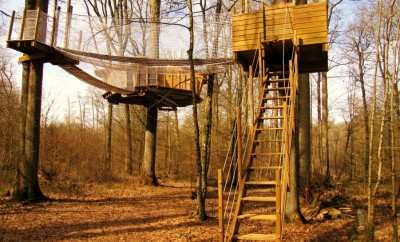 Cabane Champignon – Les Cabanes du Lac du Der