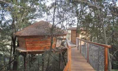 Cabane de la Source – Arbres et Cabanes