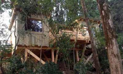 Cabane Tribu –  Les Cabanes dans les Bois