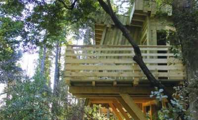 Cabane Refuge – Les Cabanes dans les Bois