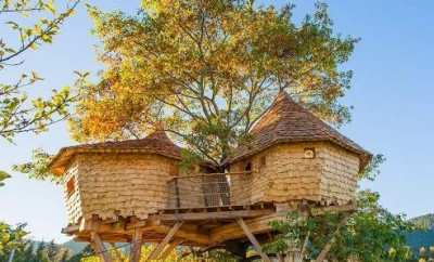 Les Cabanes du Chêne Rouvre