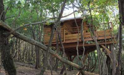 Cabane Murmure de Feuille – Les Cabanes des Collines