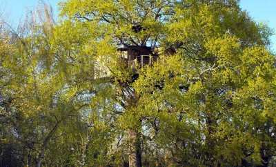 Cabane Perchée – Cabane Perchée du Charron