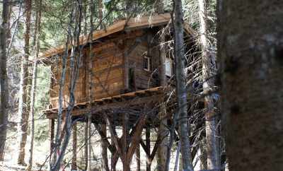 Cabane RUISSEAU