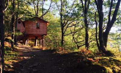 Cabane des Chesnais – Hêtre sous le charme