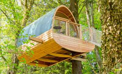 Cabane perchée dans le cèdre bleu