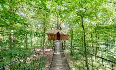 Cabane el Sueño  – L’Arbre à Cabane