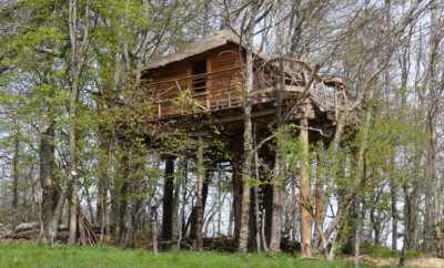 La cabane des Fayards