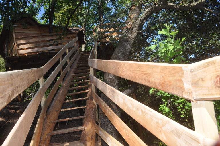 l'escalier en tronc d'arbres de la cabane Canopée