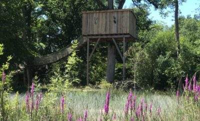 Cabane du Vieux Chêne