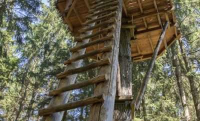 Cabane Falbala – Cabanes des Combrailles