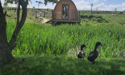 Cabane de l’étang