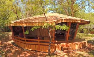 Couleurs Indiennes  : la cabane sous les arbres