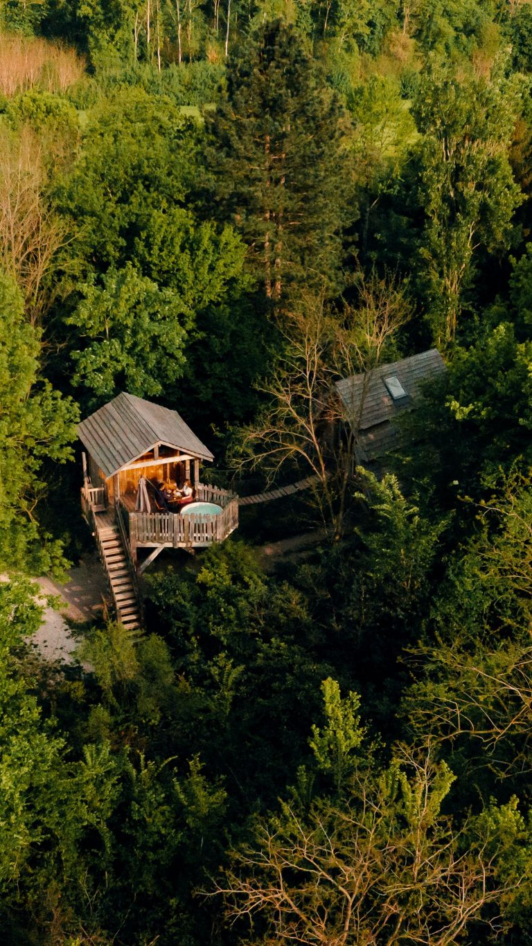 Merveilleuse drone Bois de Rosoy - format vertical - crédit - Elsa et Cyril Mai 2022 (1)