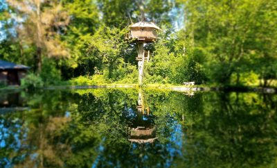 La cabane Au Fil de l’Eau, à 8m de hauteur