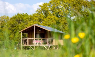 Ecolodges (cabanes dans la prairie)