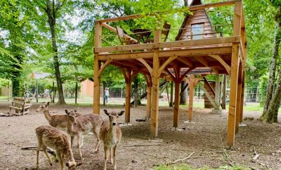 Cabane des Cerfs – Domaine de la Dombes